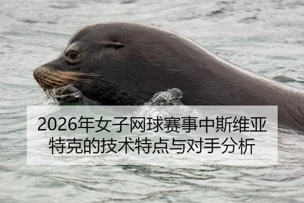 2026年女子网球赛事中斯维亚特克的技术特点与对手分析