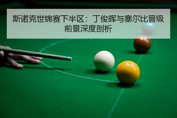 si-nuo-ke-shi-jin-sai-xia-ban-qu-ding-jun-hui-yu-sai-er-bi-jin-ji-qian-jing-shen-du-pou-xi-3-705.jpg